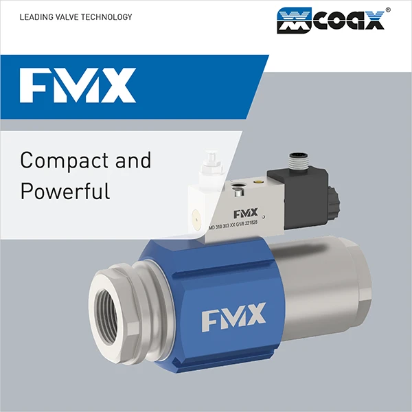 FMX brochure